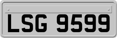 LSG9599