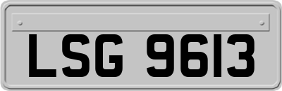 LSG9613