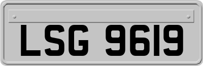LSG9619
