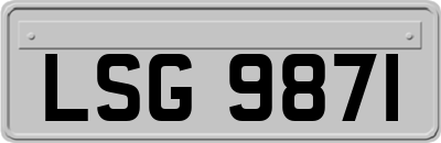 LSG9871