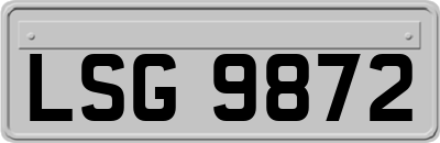 LSG9872