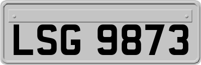 LSG9873