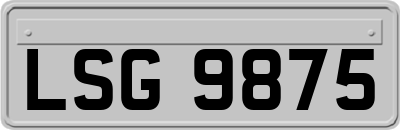 LSG9875