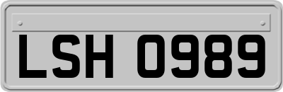LSH0989