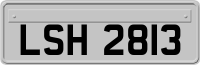 LSH2813