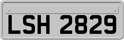 LSH2829