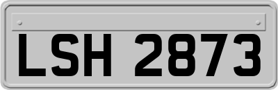 LSH2873