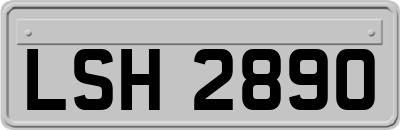 LSH2890