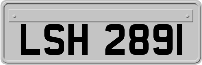 LSH2891