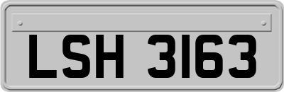 LSH3163