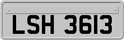 LSH3613