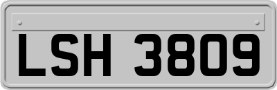 LSH3809