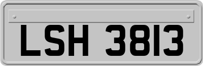 LSH3813