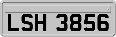LSH3856