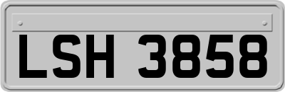LSH3858