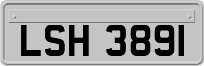 LSH3891