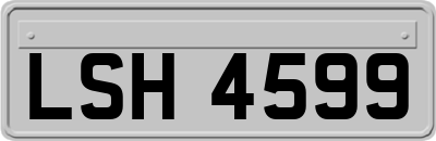 LSH4599