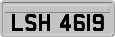 LSH4619