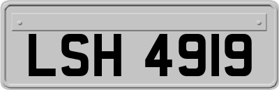 LSH4919