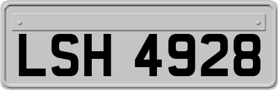 LSH4928