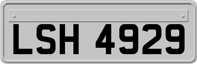 LSH4929