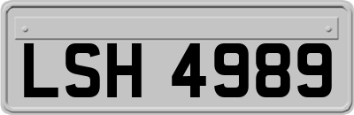 LSH4989