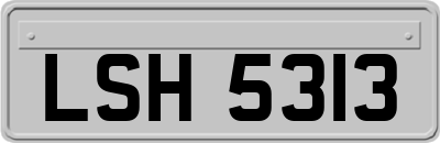 LSH5313