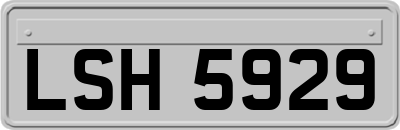 LSH5929