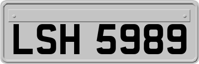 LSH5989