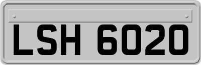 LSH6020