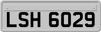 LSH6029