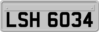 LSH6034