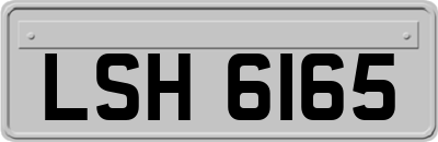 LSH6165
