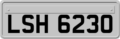 LSH6230
