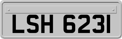 LSH6231