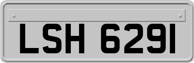 LSH6291