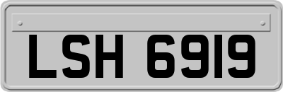 LSH6919