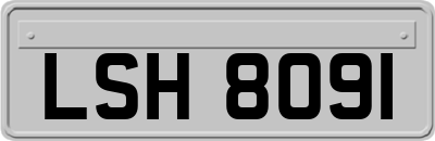 LSH8091