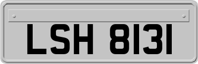 LSH8131