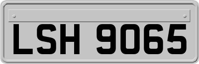 LSH9065