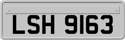 LSH9163