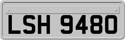 LSH9480