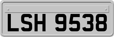 LSH9538