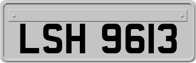 LSH9613