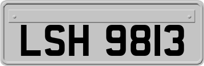 LSH9813