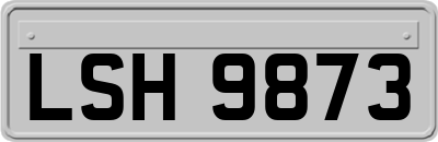 LSH9873