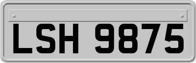 LSH9875