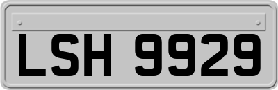 LSH9929