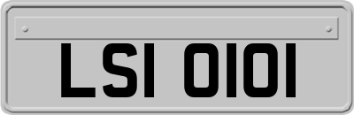 LSI0101