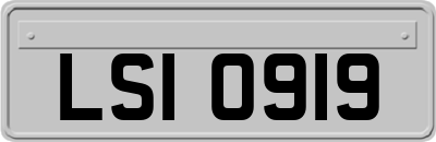 LSI0919